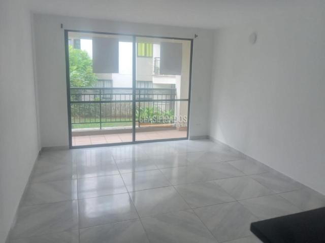 Apartamentos, Alquiler en Ciudad Pacifica