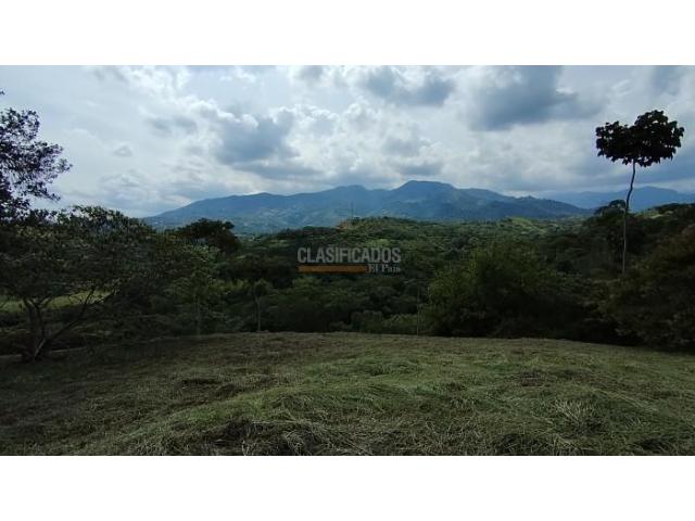 Lotes, Venta en Pance