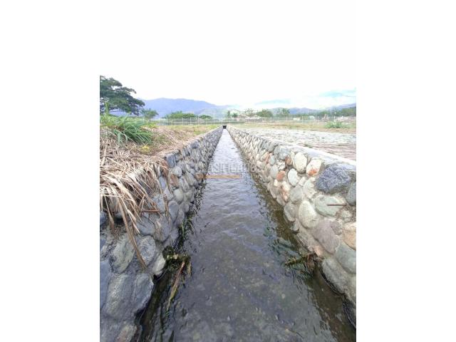 Lotes, Venta en Ginebra