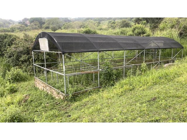 Fincas y Casas Campestres, Venta en Yumbo