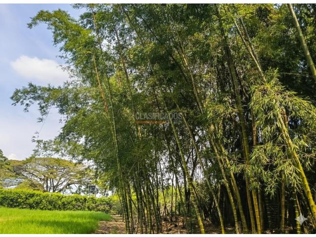 Lotes, Venta en Palmira