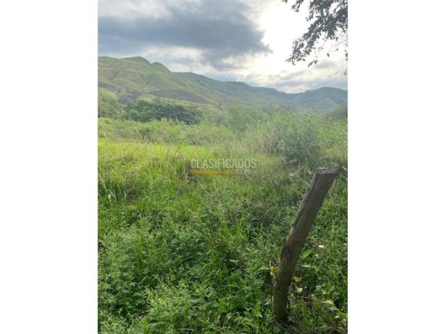 Lotes, Venta en La Campiña