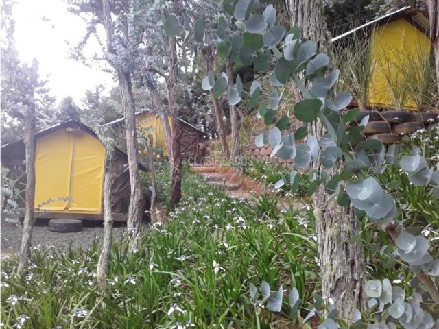 Fincas y Casas Campestres, Venta en Dapa