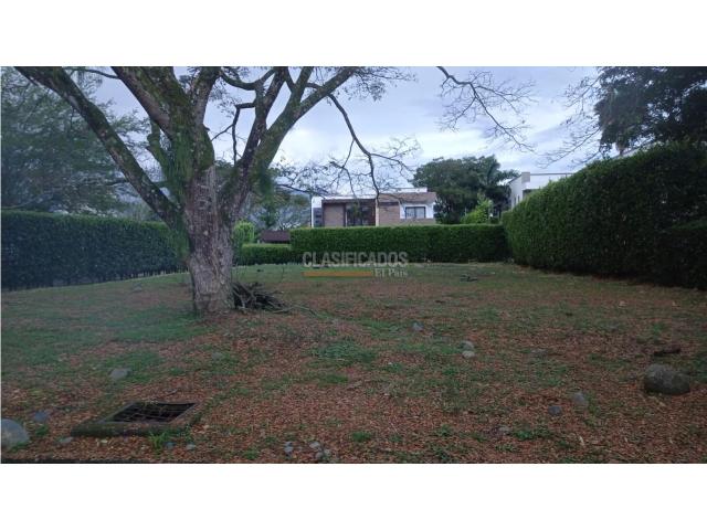 Lotes, Venta en Pance