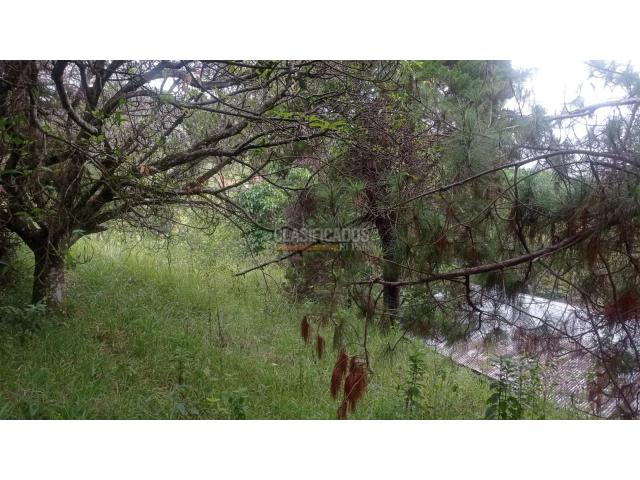 Lotes, Venta en Bella Suiza