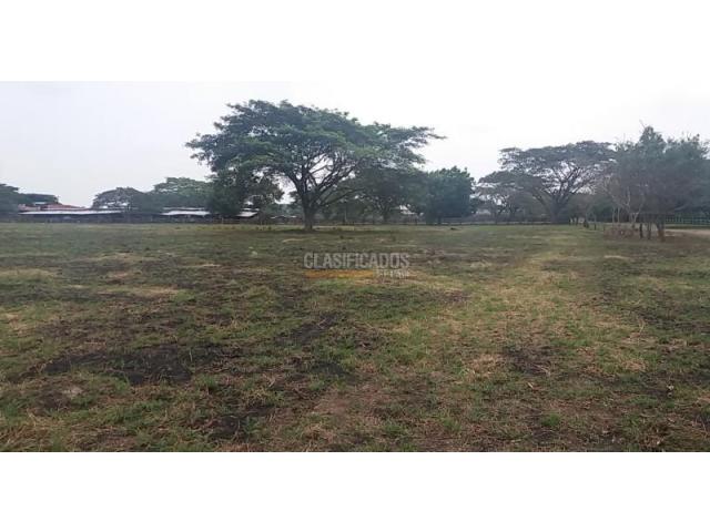 Lotes, Venta en La Dolores