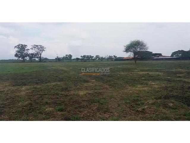 Lotes, Venta en La Dolores