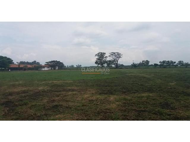 Lotes, Venta en La Dolores