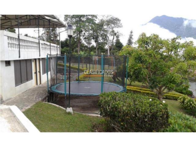 Fincas y Casas Campestres, Venta en Calima (Darién)