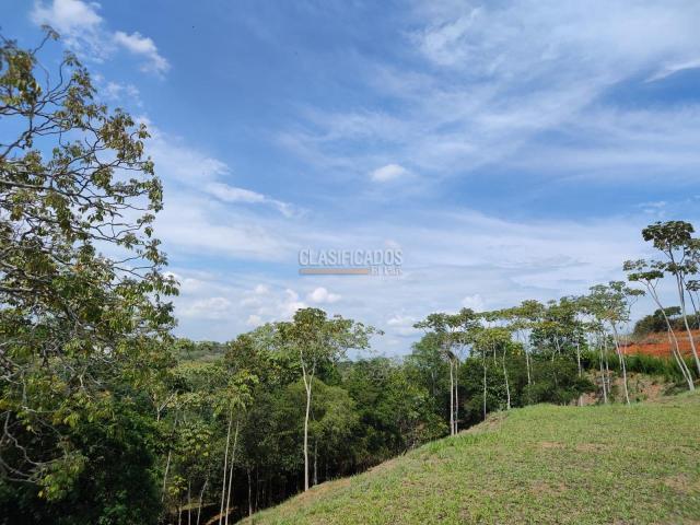 Lotes, Venta en Pance