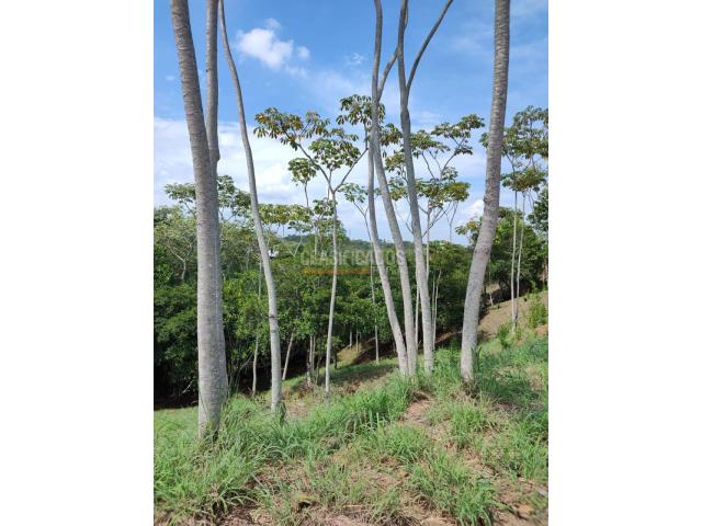 Lotes, Venta en Pance