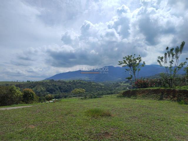 Lotes, Venta en Pance