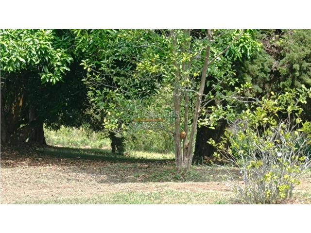 Lotes, Venta en Pance