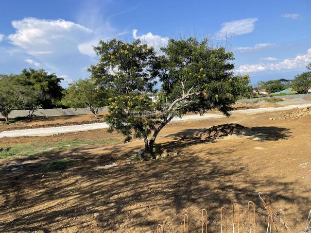 Lotes, Venta en Pance