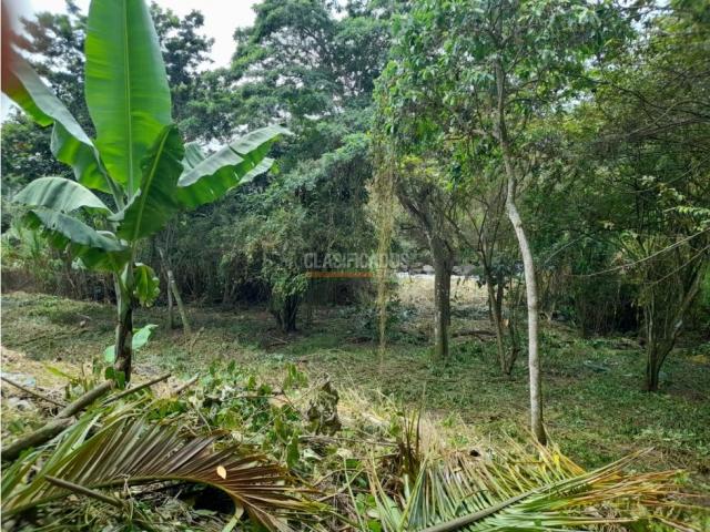 Lotes, Venta en Pance