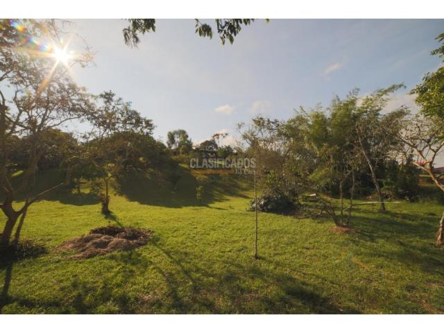 Fincas y Casas Campestres, Venta en Dagua