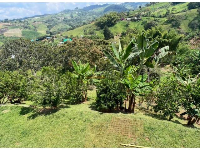 Fincas y Casas Campestres, Venta en Dagua