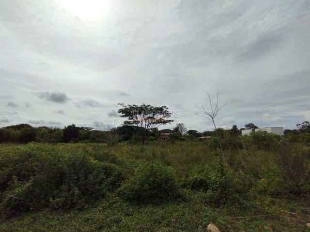 Lotes, Venta en Jamundí