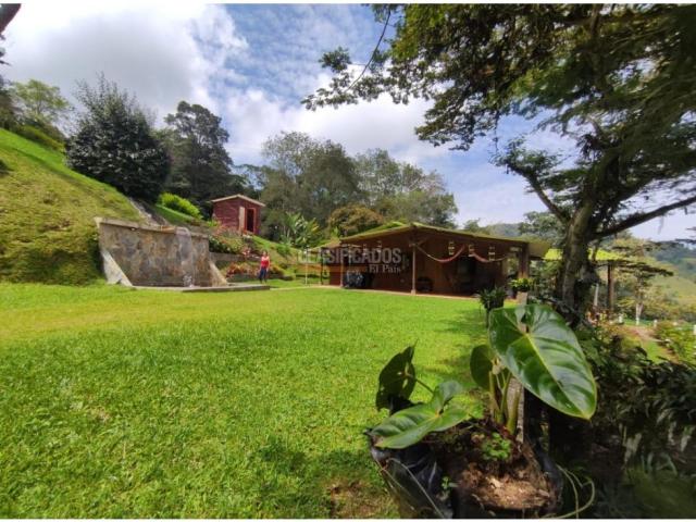 Fincas y Casas Campestres, Venta en Dapa