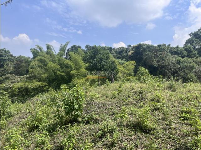 Lotes, Venta en Dapa