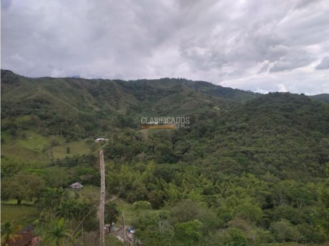 Fincas y Casas Campestres, Venta en Guacarí