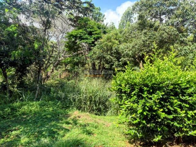 Lotes, Venta en Guadalupe