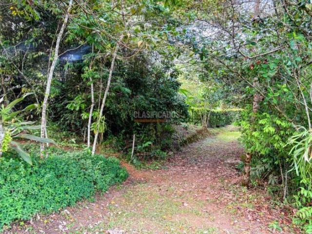 Lotes, Venta en Pance