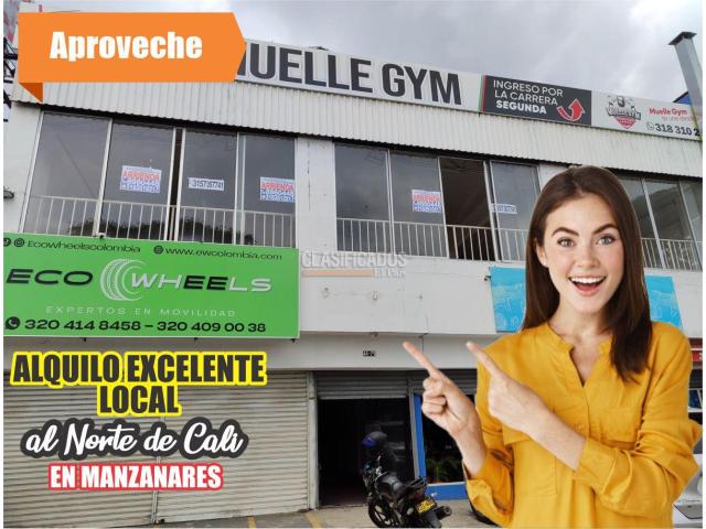 Locales y Bodegas, Alquiler en Manzanares