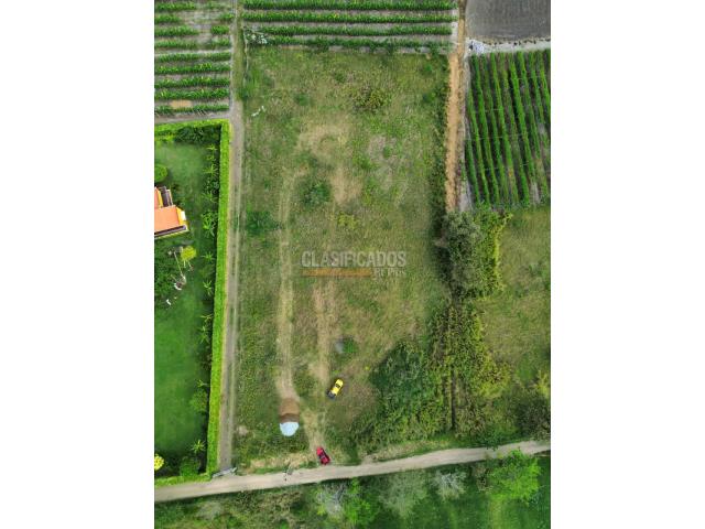 Lotes, Venta en Palmira