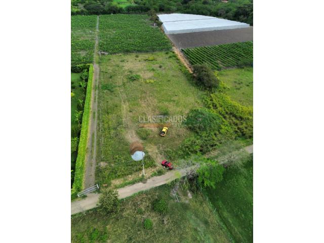 Lotes, Venta en Palmira