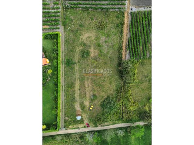 Lotes, Venta en Palmira