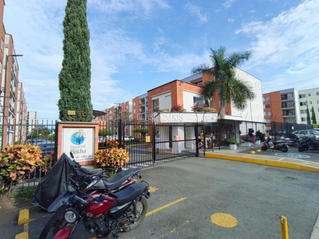 Apartamentos, Alquiler en Ciudad Bochalema
