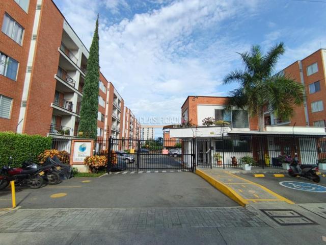 Apartamentos, Alquiler en Ciudad Bochalema