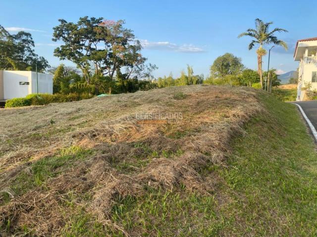 Lotes, Venta en Pereira