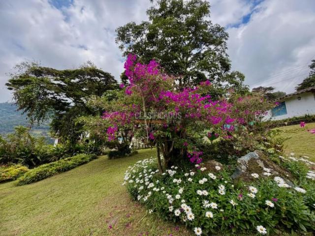 Casas, Venta en Yumbo