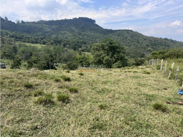 Lotes, Venta en Dapa