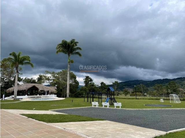 Fincas y Casas Campestres, Venta en Calima (Darién)