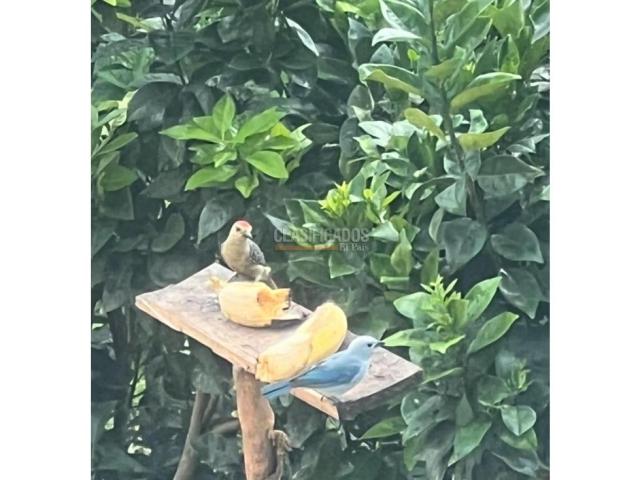 Fincas y Casas Campestres, Venta en Dagua