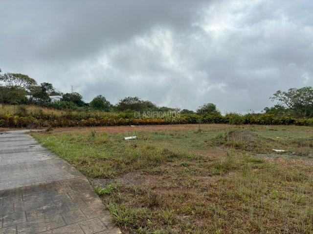 Lotes, Venta en Pance