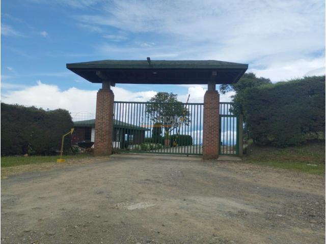 Lotes, Venta en Calima (Darién)