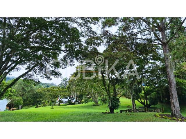 Fincas y Casas Campestres, Venta en Dagua