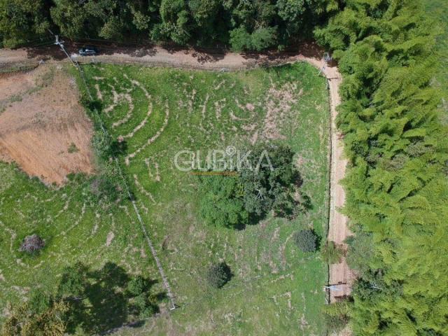 Lotes, Venta en Calima (Darién)