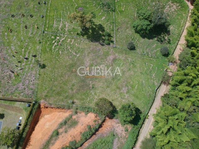 Lotes, Venta en Calima (Darién)