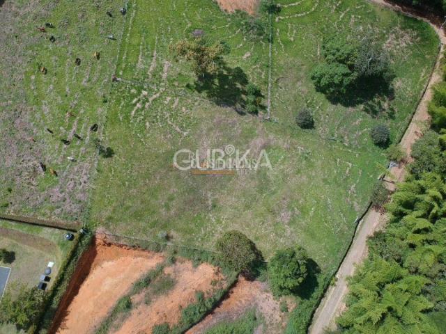 Lotes, Venta en Calima (Darién)