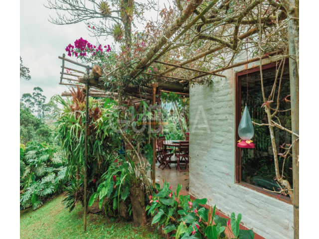 Fincas y Casas Campestres, Venta en Yumbo