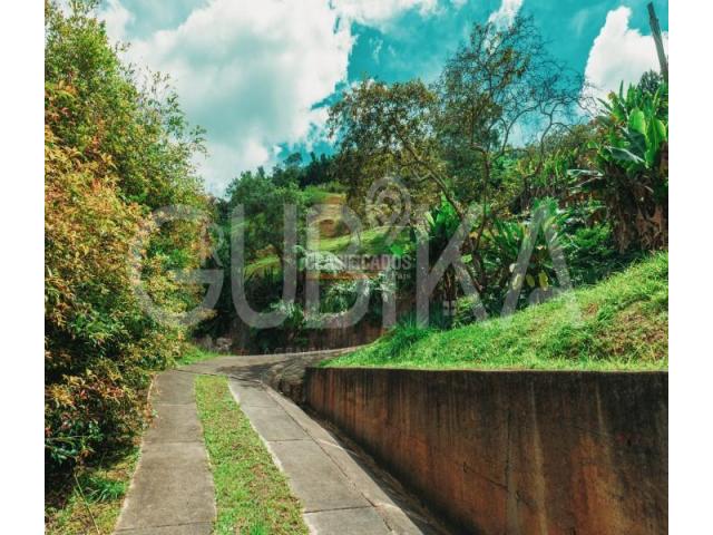 Lotes, Venta en Dapa