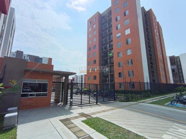 Apartamentos, Alquiler en Ciudad Pacifica