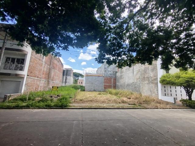 Lotes, Venta en Palmira