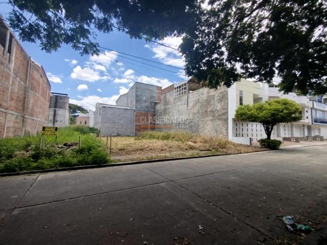 Lotes, Venta en Palmira