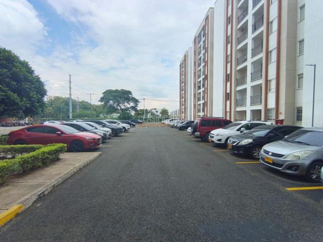 Apartamentos, Alquiler en Ciudad Pacifica